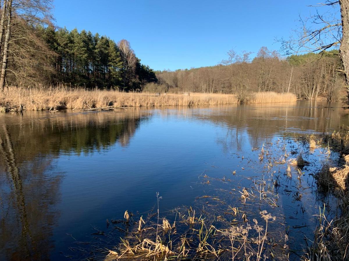 Agroturystyka Gesiniec Stare Osieczno Exteriér fotografie