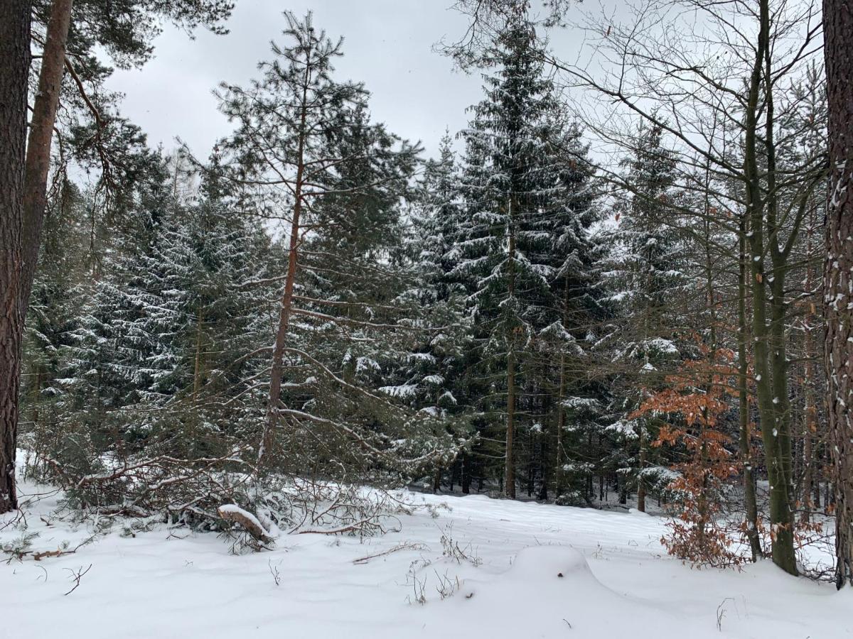 Agroturystyka Gesiniec Stare Osieczno Exteriér fotografie