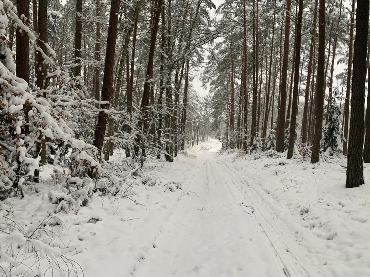 Agroturystyka Gesiniec Stare Osieczno Exteriér fotografie
