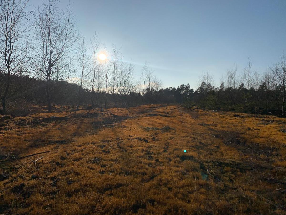 Agroturystyka Gesiniec Stare Osieczno Exteriér fotografie