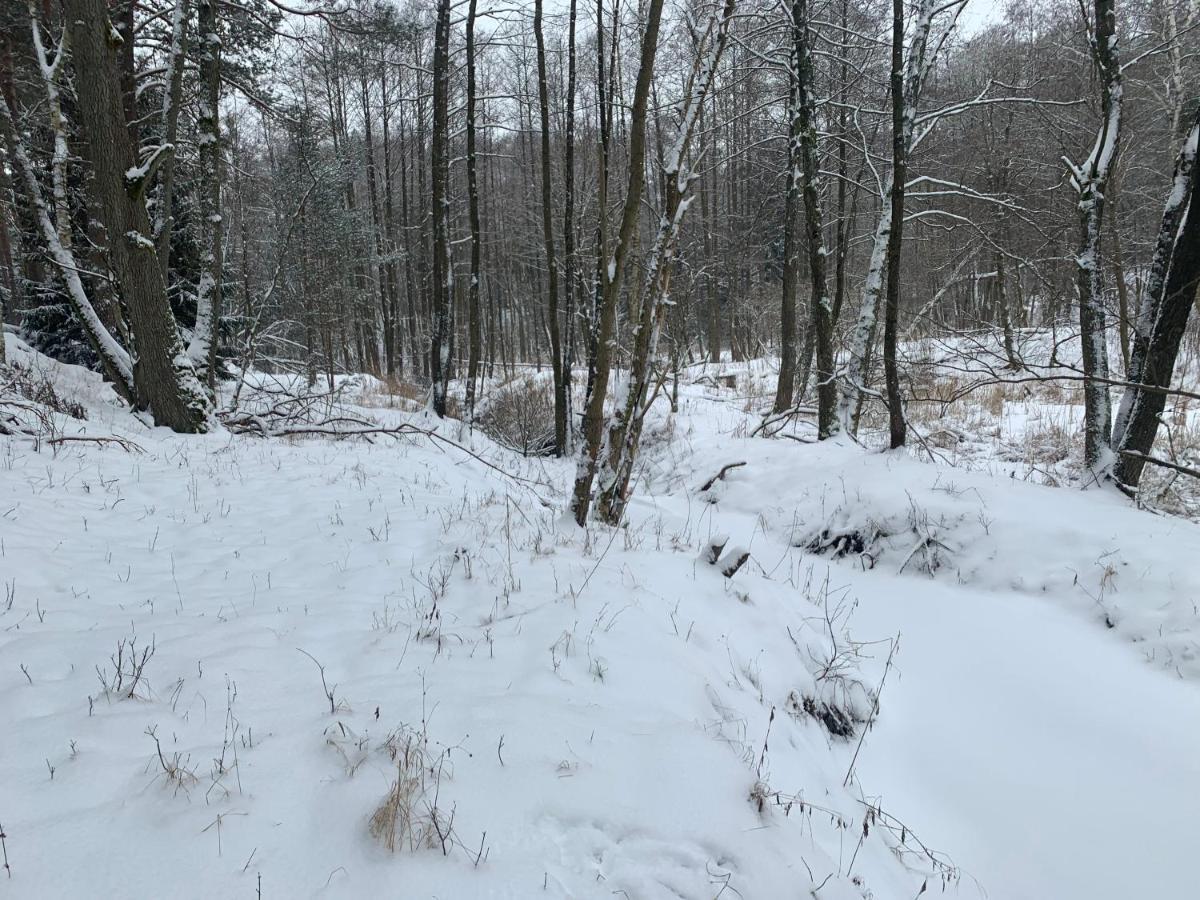 Agroturystyka Gesiniec Stare Osieczno Exteriér fotografie