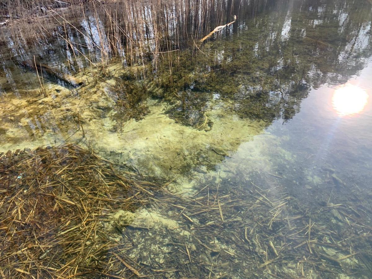 Agroturystyka Gesiniec Stare Osieczno Exteriér fotografie