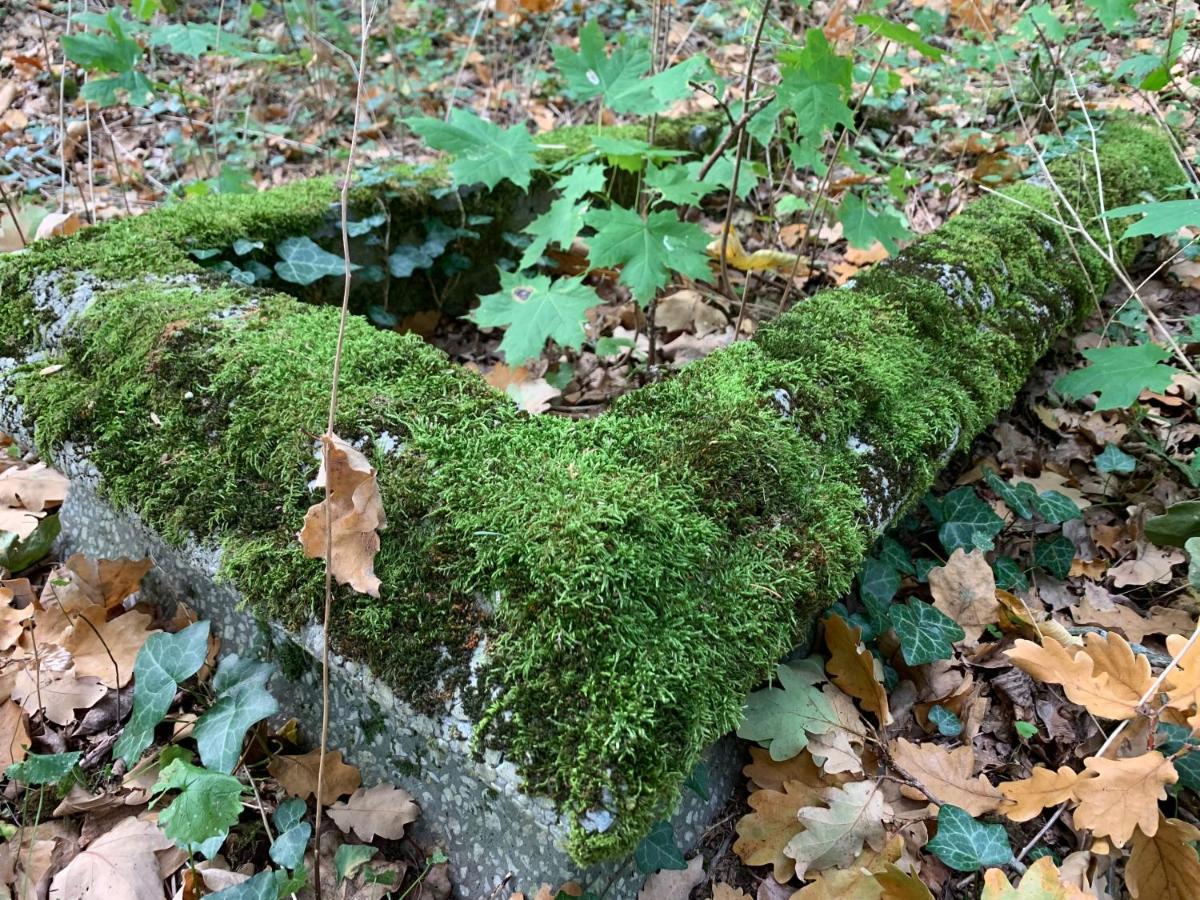 Agroturystyka Gesiniec Stare Osieczno Exteriér fotografie
