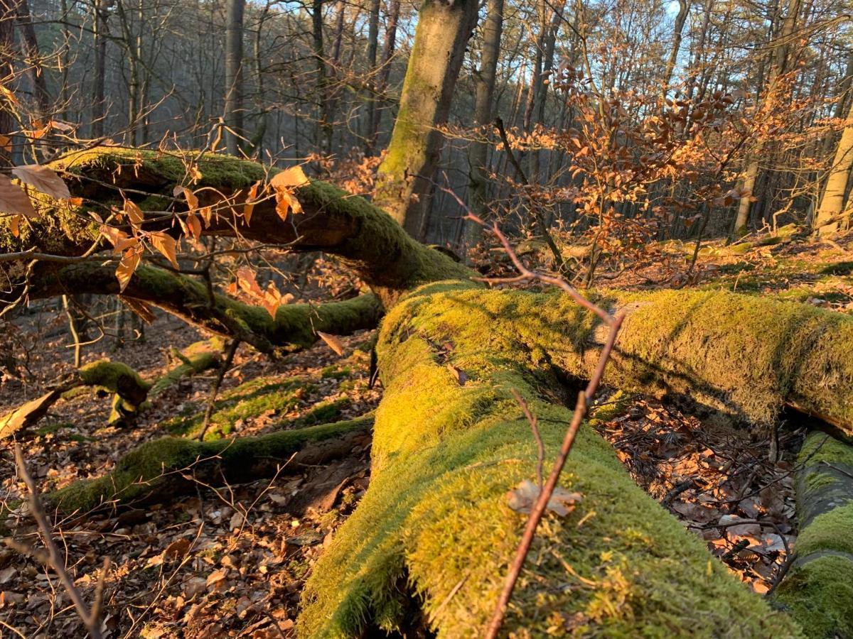Agroturystyka Gesiniec Stare Osieczno Exteriér fotografie