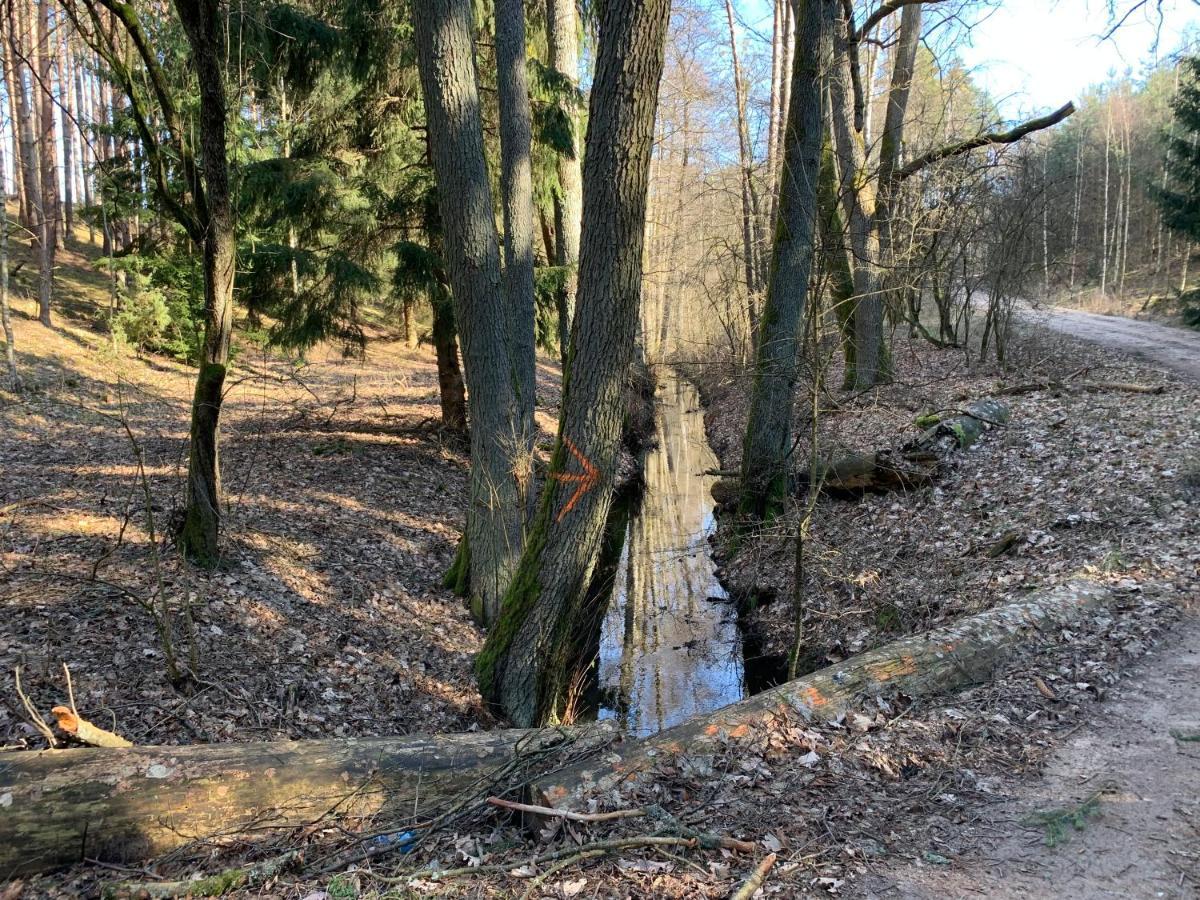 Agroturystyka Gesiniec Stare Osieczno Exteriér fotografie