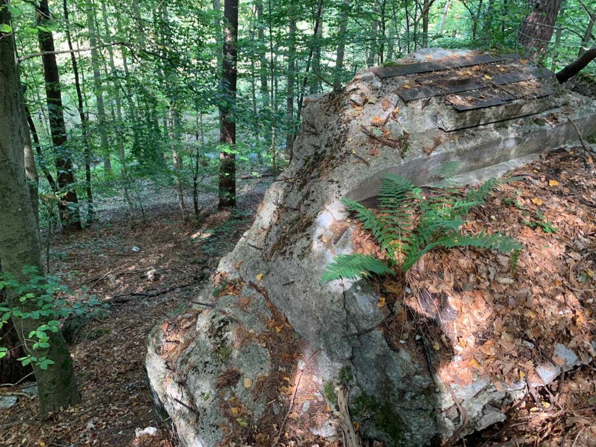 Agroturystyka Gesiniec Stare Osieczno Exteriér fotografie