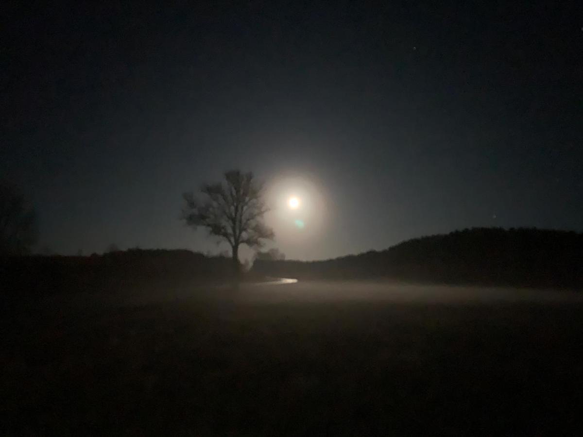 Agroturystyka Gesiniec Stare Osieczno Exteriér fotografie