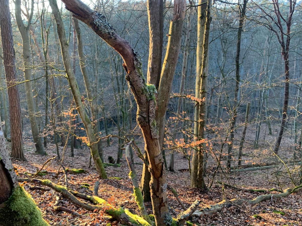 Agroturystyka Gesiniec Stare Osieczno Exteriér fotografie